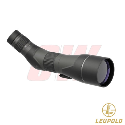 Leupold SX-2 Alpine HD Gen2 20-60x80 Angled Spotting Scope